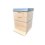 SET FERTIG; Dadant Blatt12/ 499x499, flacher Boden/ HN159