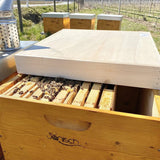Set fertig; Dadant Blatt12/ 499×499, hoher Boden/ HN159